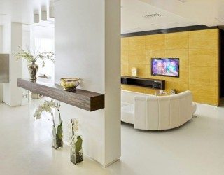 Luxurious Moscow Apartment 1