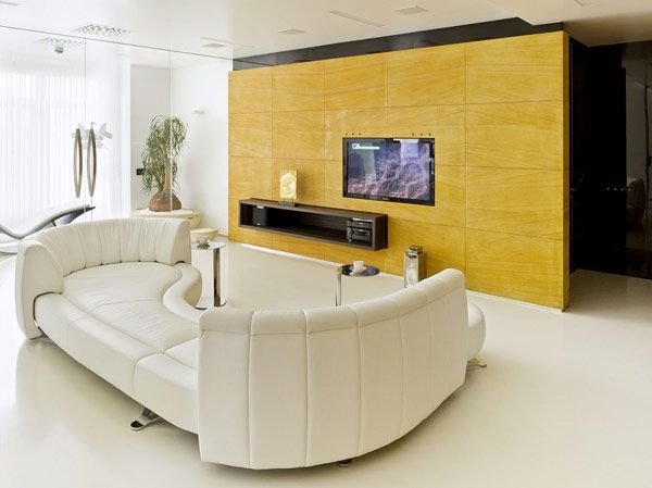 Luxurious Moscow Apartment 3