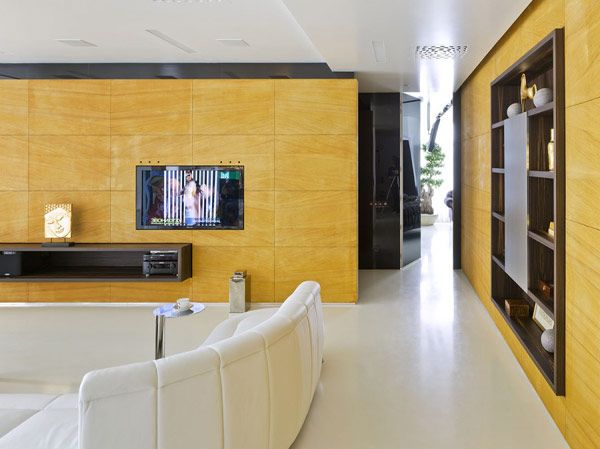 Luxurious Moscow Apartment 5