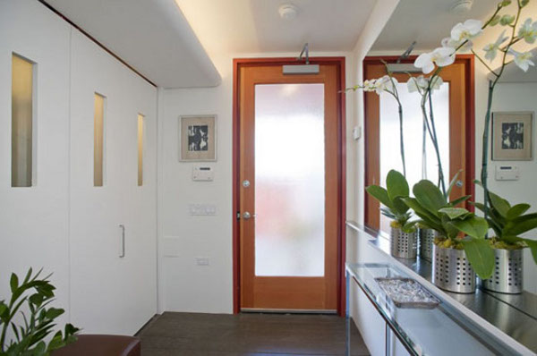 Ten-Feet Wide Contemporary Home 4