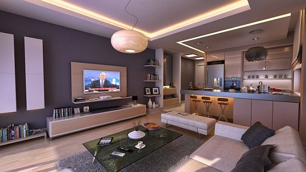 open plan bachelor pad