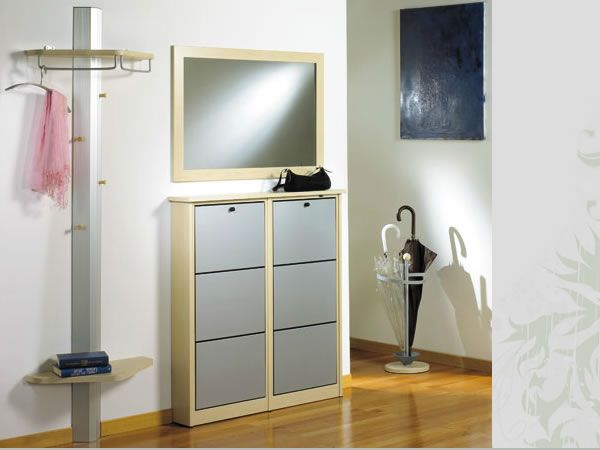 sleek-shoe-cabinet