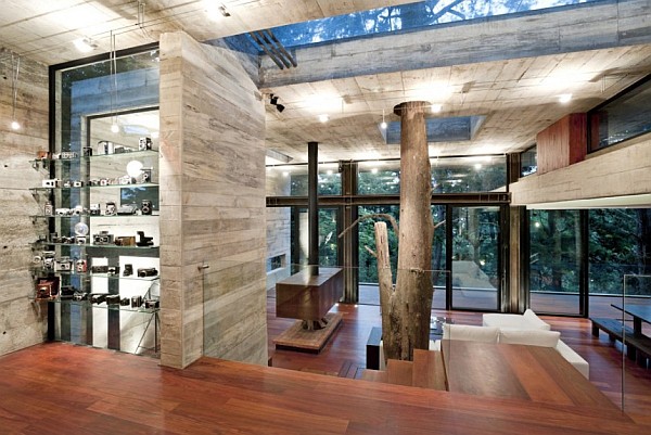 Corallo House by Paz Arquitectura - contemporary living room design