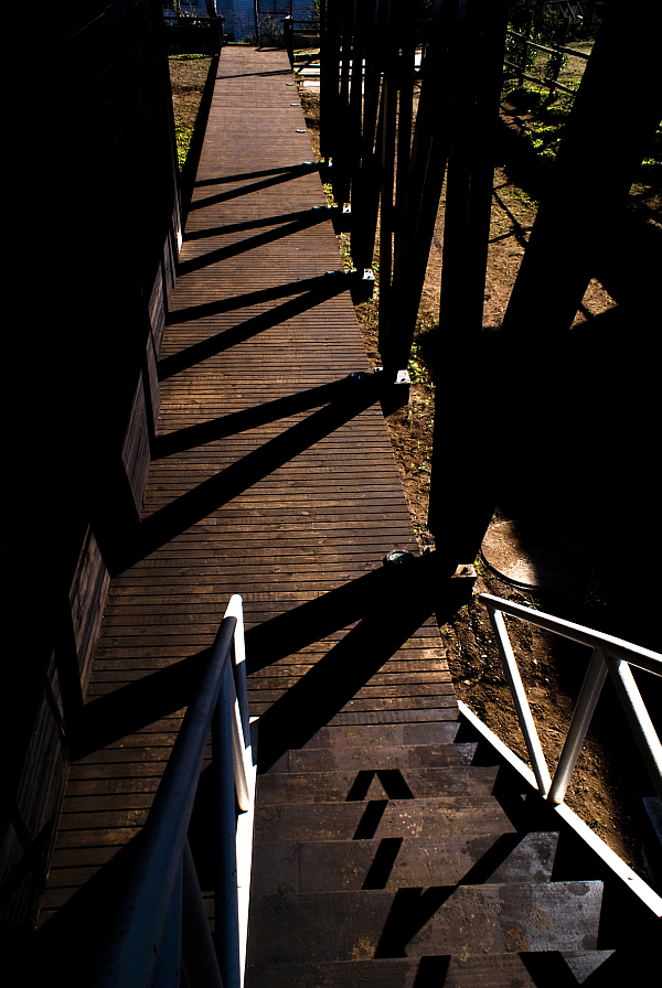 Tacna-Hill-Beach-House-wooden-stairs