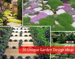 30 Unique Garden Design Ideas