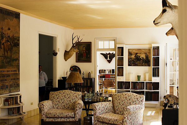 safari themed interior - cuba hemingway living room