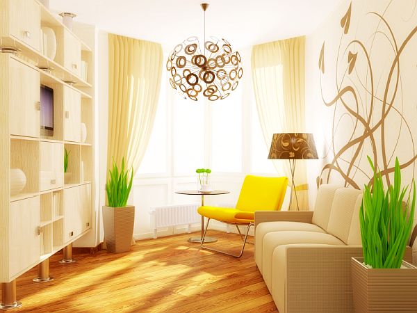 Tips to Make Your Small Living  Room  Prettier