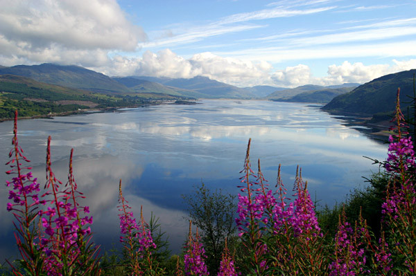 Country Bungalow Ireland - lake view