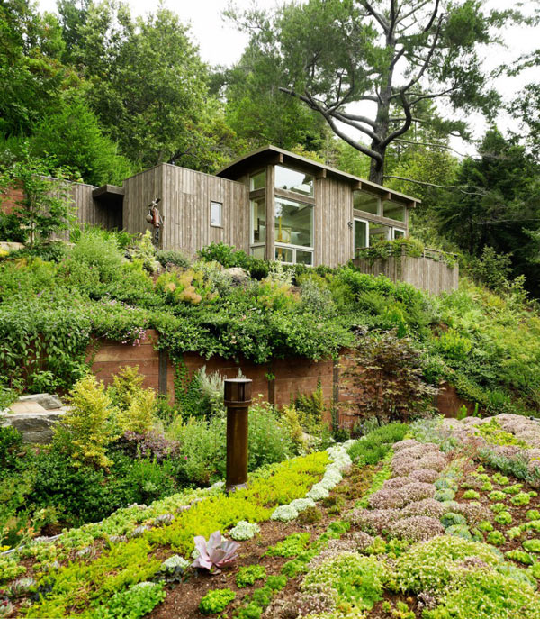 Mill Valley Cabins Addition Set in a Picturesque Landscape