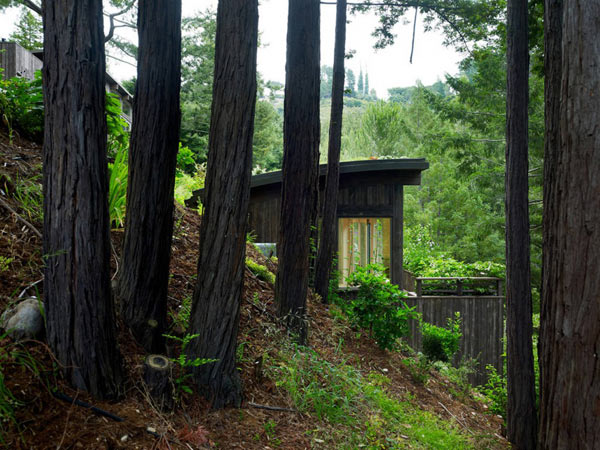 Mill-Valley-Cabins-Feldman-Architecture-2