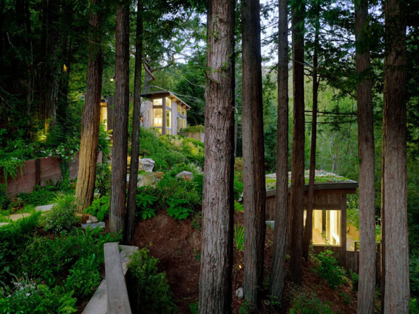 Mill-Valley-Cabins-Feldman-Architecture-3