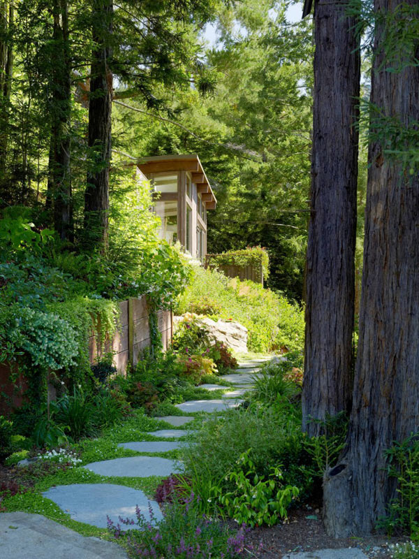 Mill-Valley-Cabins-Feldman-Architecture-6