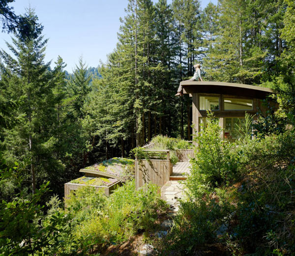 Mill-Valley-Cabins--Feldman-Architecture-(7)