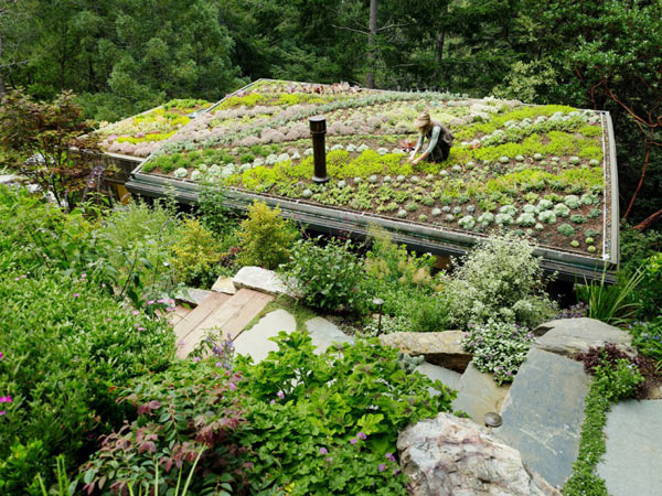 Mill-Valley-Cabins--Feldman-Architecture-(8)