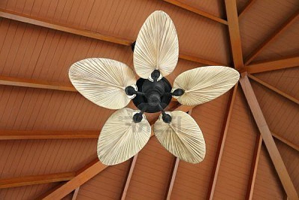 artistic ceiling fan in wooden house