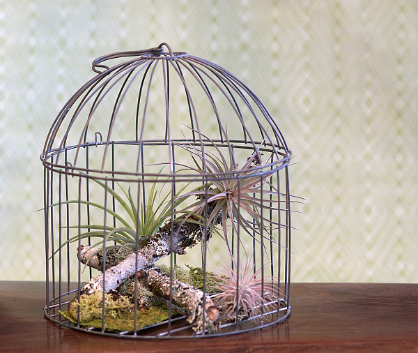 birdcages decor interior design for home