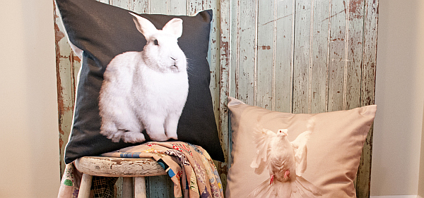 bunny on stool and goose pillow cushion