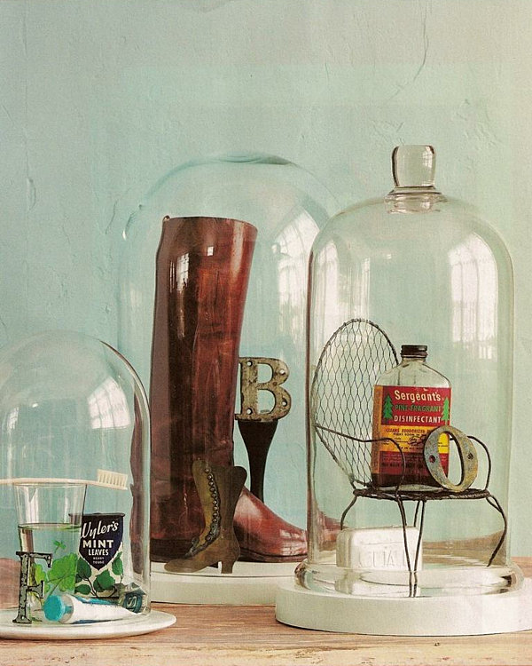 curiosity cabinet bell jar arrangement