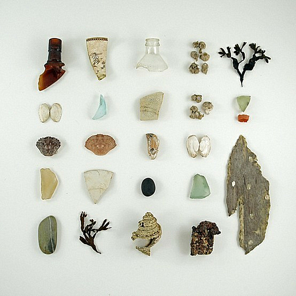 Create A Cabinet Of Curiosities