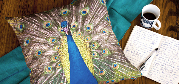 faded-peacock-pillow-cushion