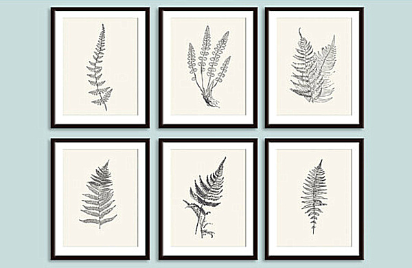 framed botanical prints.png