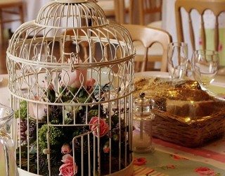 Using Birdcages in Home Design