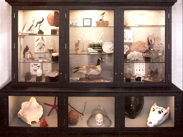 large-cabinet-of-curiosities