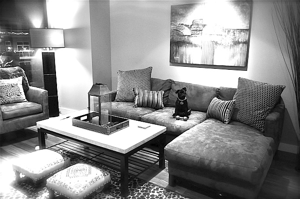 luxury-decorated-living-room-looks-beautiful
