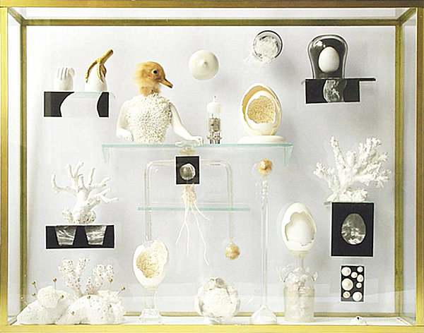 Cabinet of Curiosities