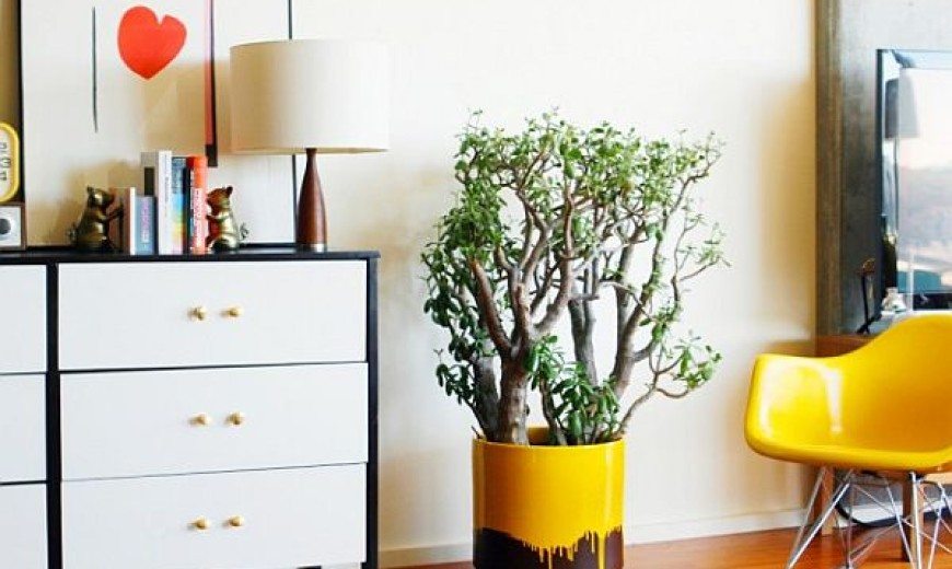 DIY Hints to Restore the Beauty out of the Blah