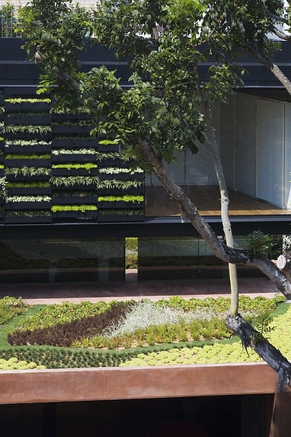 Maximum-Garden-House-by-Formwerkz-Architects-16