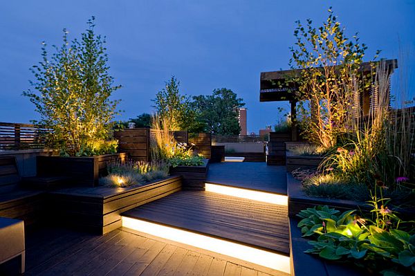 Sculptural Roof Deck contemporary landscape