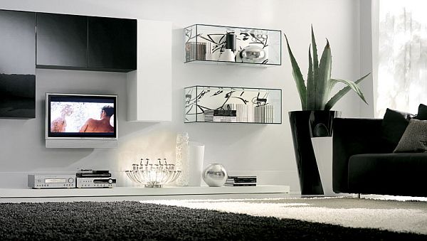 black and white elegant living room decoration