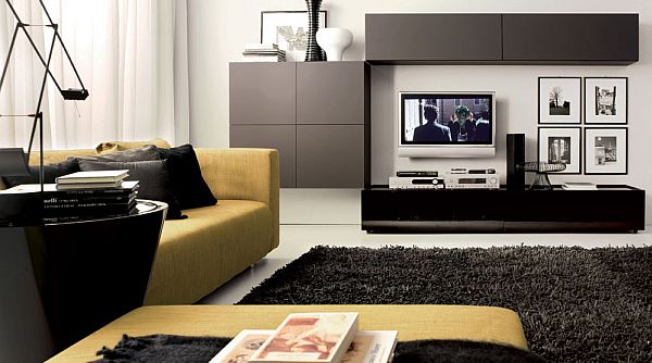 contemporary living room with elegant furniture