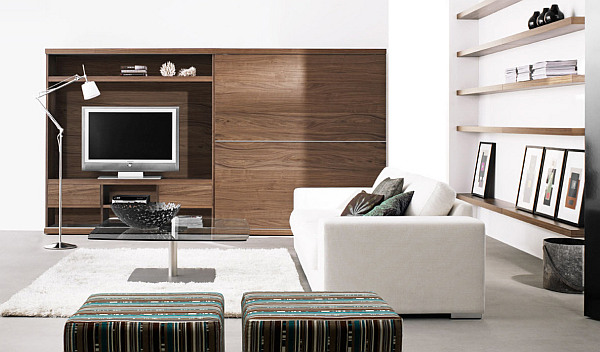 elegant-living-room-decorating-picture