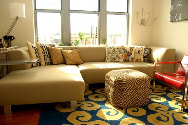 elegant small living room with colorful rug