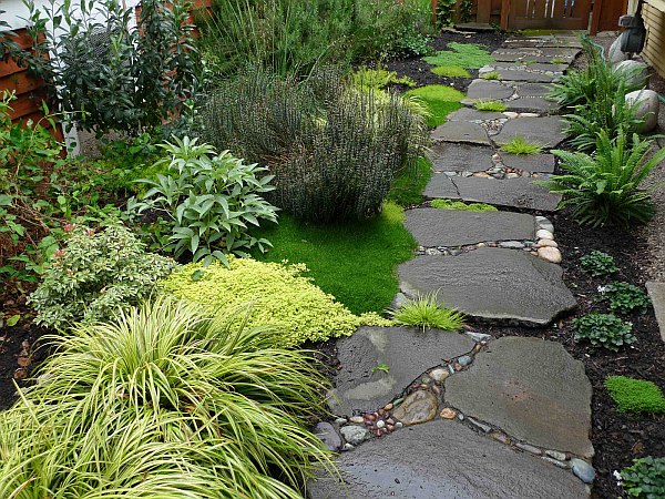 garden stone walkway with plants