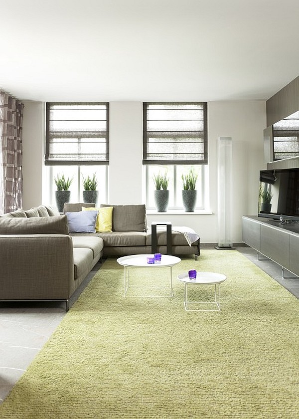 green hued living room with house plants