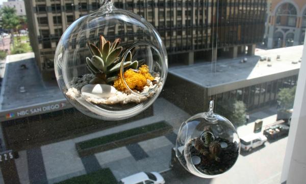 hanging terrarium