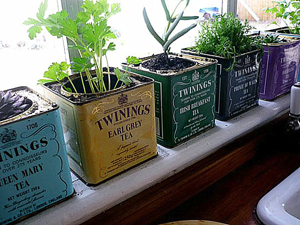 herb windowsill garden