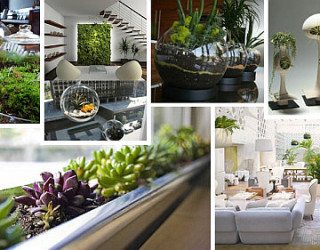 Indoor Gardening Ideas to Beautify Your Space