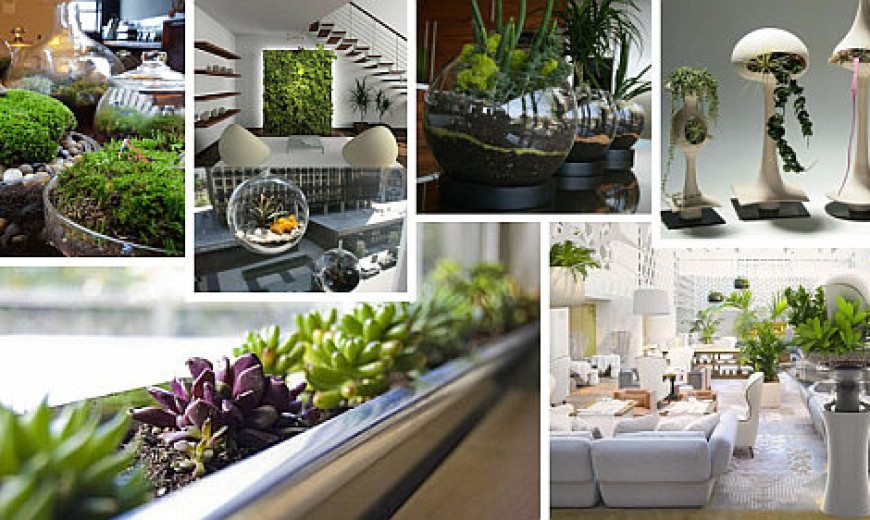 Indoor Gardening Ideas To Beautify Your Space