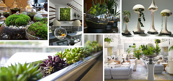 Indoor Gardening Ideas To Beautify Your Space