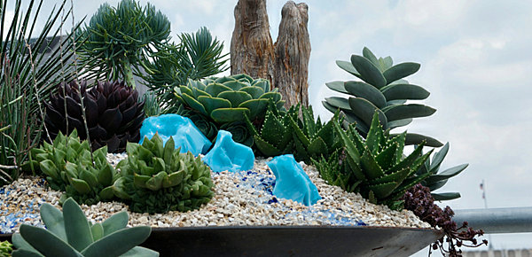mini-rock-garden