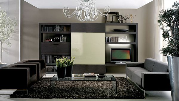 modern elegant living room pictures