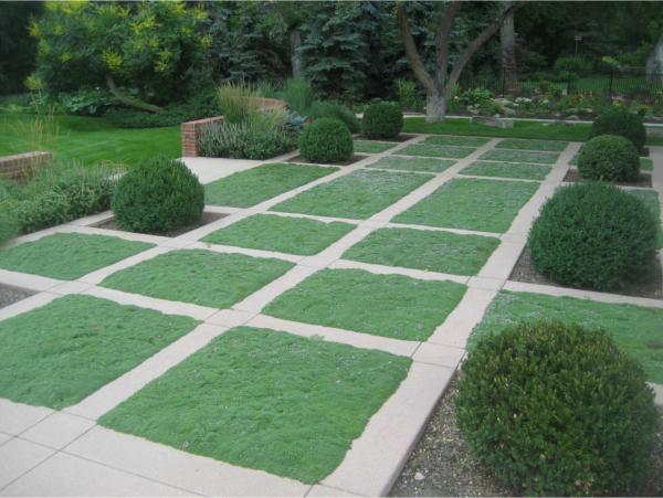 modern greenly landscape design