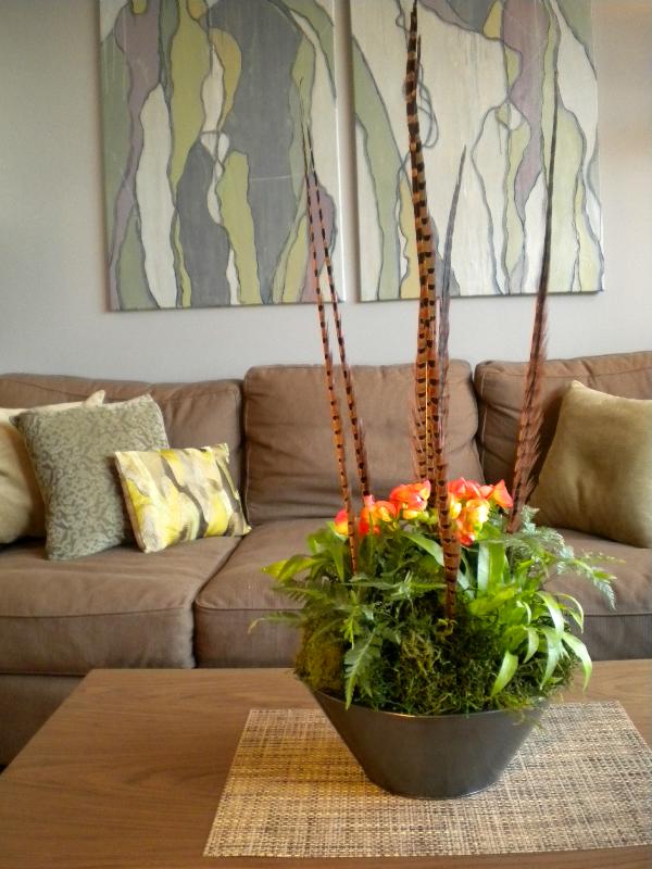 modern houseplant arrangement