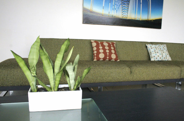 modern-indoor-tabletop-planter