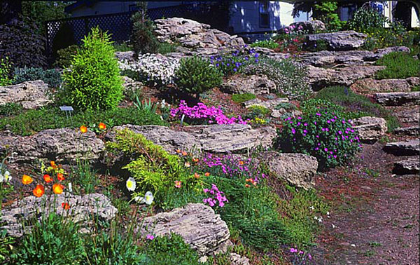 Jardín de rocas natural en terrazas