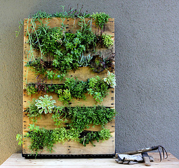 recycled palette vertical garden